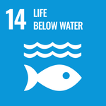 Leben unter Wasser - ein Aspekt der Sustainable Development Goals der Vereinten Nationen.